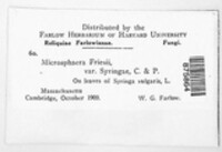 Image Associated With the Occurence